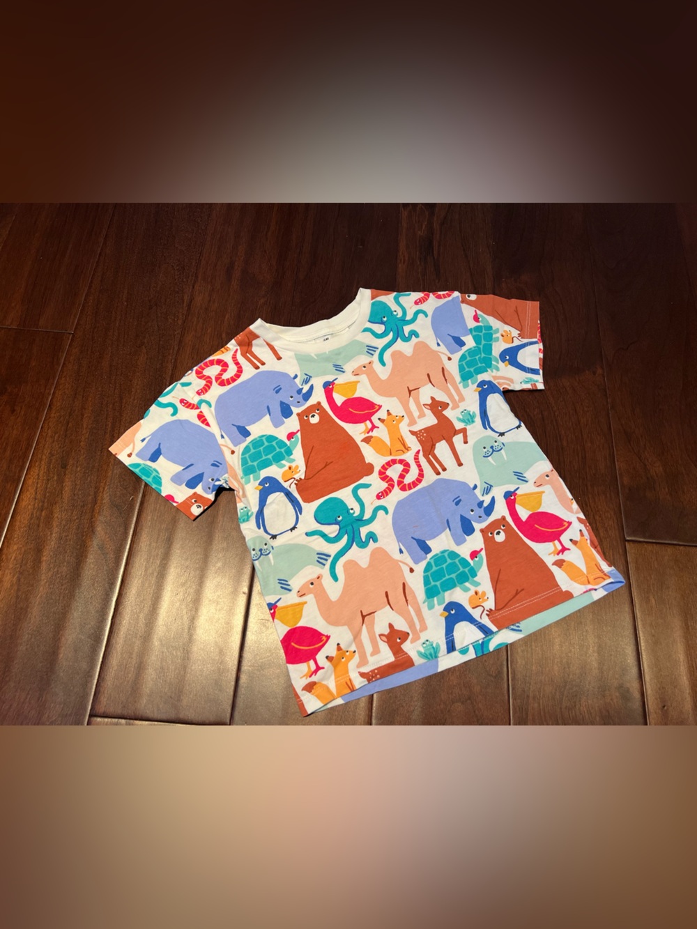 H&M Toddler T-shirt